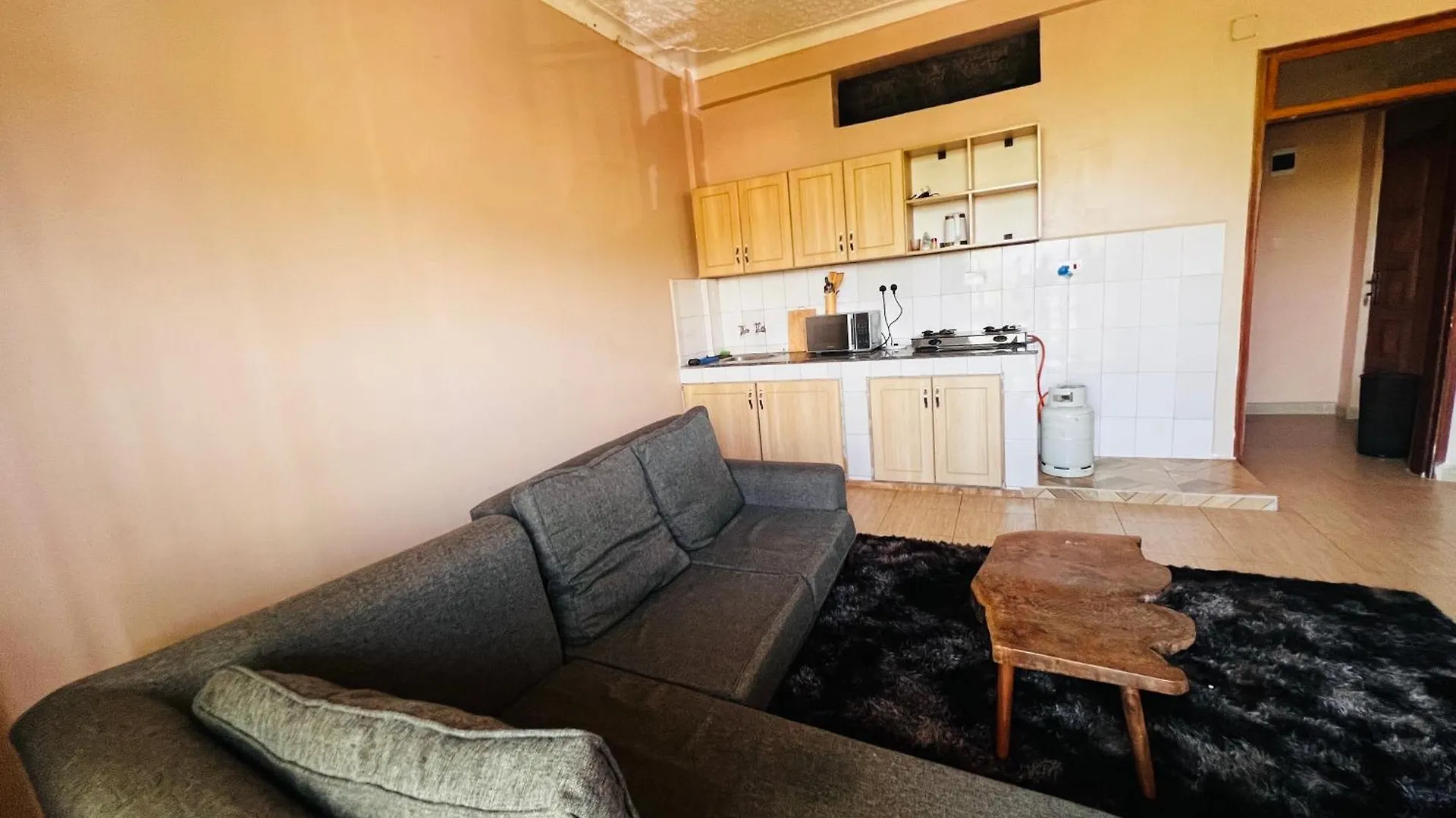 The Home Hive Apartment Kampala Uganda